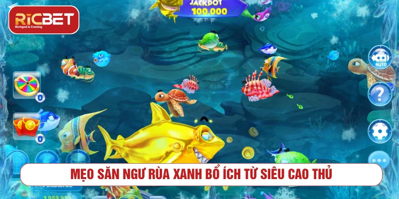 Mẹo săn ngư rùa xanh bổ ích từ siêu cao thủ