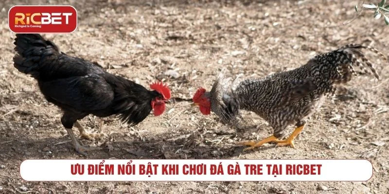 Sảnh game mang đến thế giới giải trí chân thực