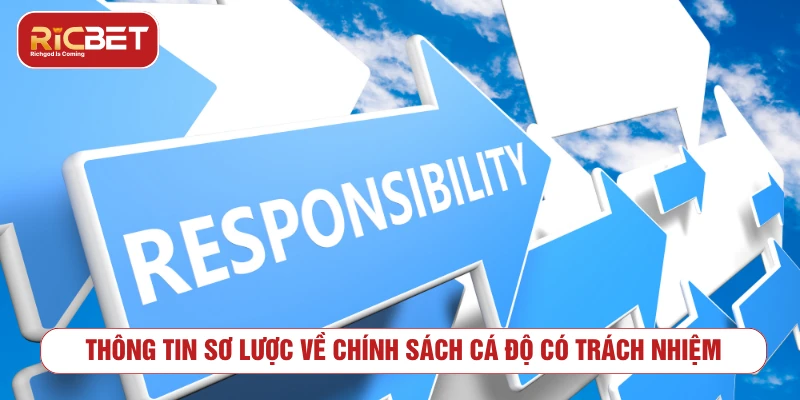 Thông tin sơ lược về chính sách cá độ có trách nhiệm