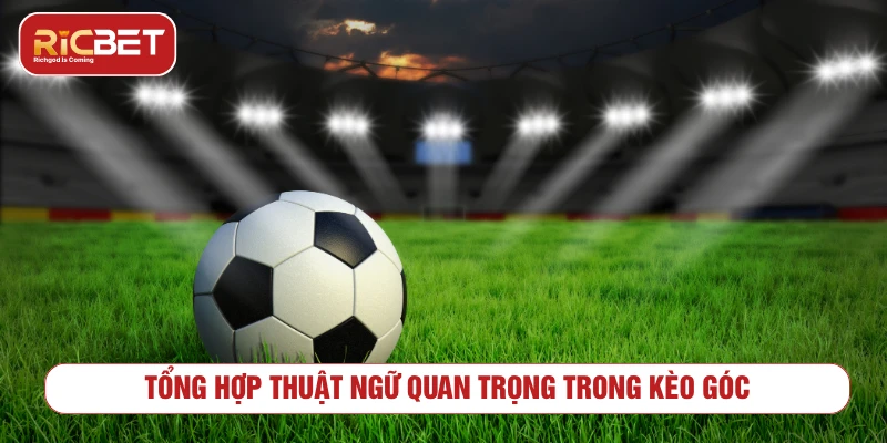 Tổng hợp thuật ngữ quan trọng trong kèo góc