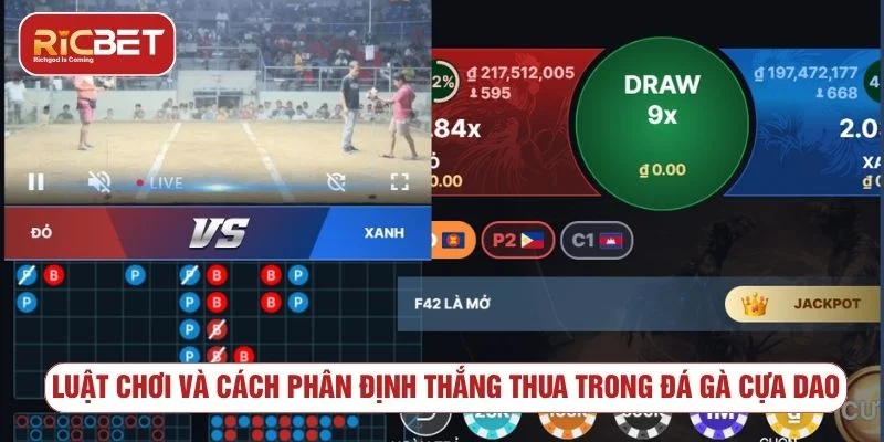 Trò chơi có luật lệ minh bạch và rõ ràng